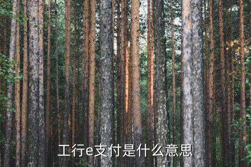 工行e支付別名是什么意思，工行e支付別名是中文還是其他