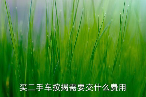 買二手車按揭需要交什么費(fèi)用
