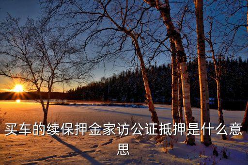 車貸的公正抵押是什么，公證抵押上牌什么意思啊