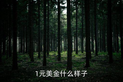 1元美金什么樣子
