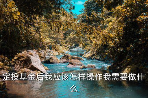 定投之后要關(guān)注什么意思，定投基金后我應(yīng)該怎樣操作我需要做什么