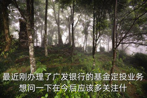 最近剛辦理了廣發(fā)銀行的基金定投業(yè)務(wù)想問一下在今后應(yīng)該多關(guān)注什