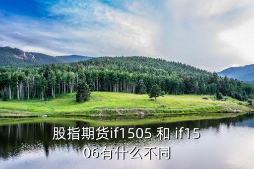 股指期貨if1505 和 if1506有什么不同