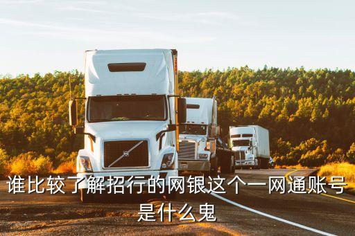 誰比較了解招行的網(wǎng)銀這個(gè)一網(wǎng)通賬號(hào)是什么鬼