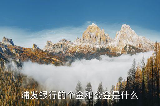 銀行企金是什么的簡(jiǎn)稱，中國(guó)銀行的企業(yè)年金是什么有什么用處