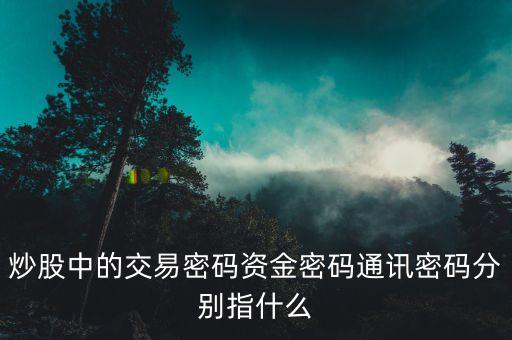 炒股中的交易密碼資金密碼通訊密碼分別指什么
