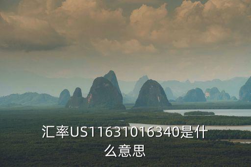 匯率US11631016340是什么意思