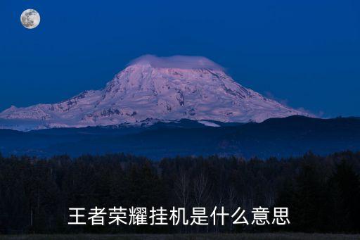 王者榮耀掛機是什么意思