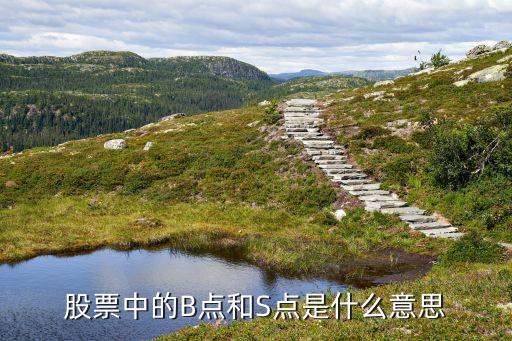 股票中的B點和S點是什么意思