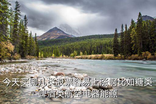 今天買什么股票會(huì)漲，今天買哪幾類股票容易上漲啊比如糖類啤酒類航空電器能源