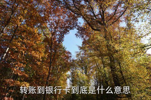 轉(zhuǎn)賬到銀行卡到底是什么意思