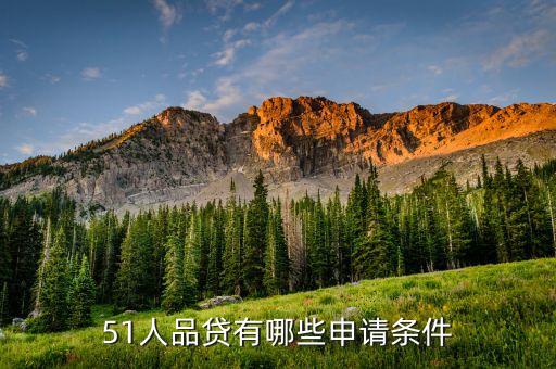51有什么貸款嗎，51信用卡貸款超市哪個貸款靠譜走知道的么