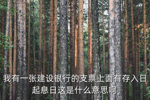 我有一張建設(shè)銀行的支票上面有存入日起息日這是什么意思啊