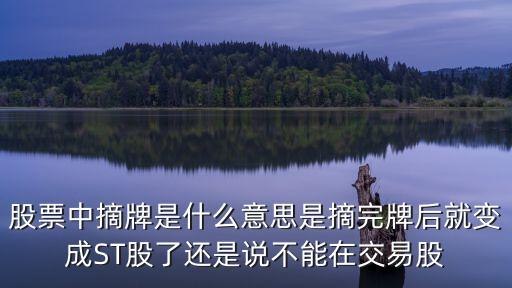 股票中摘牌是什么意思是摘完牌后就變成ST股了還是說不能在交易股