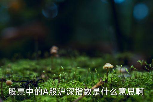股票中的A股滬深指數(shù)是什么意思啊