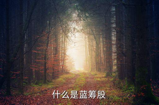 什么叫藍(lán)籌指標(biāo)股票，什么是藍(lán)籌股
