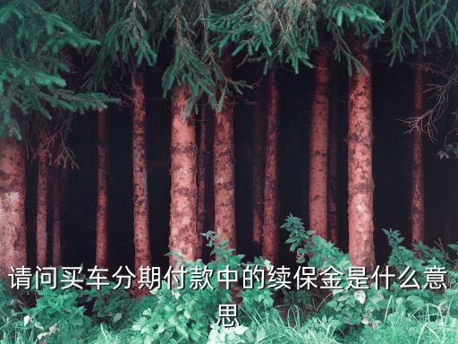請(qǐng)問(wèn)買車分期付款中的續(xù)保金是什么意思