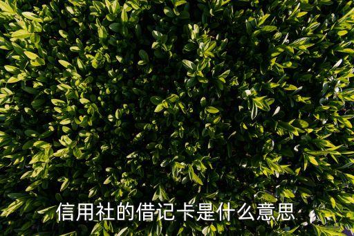 信用社的借記卡是什么意思