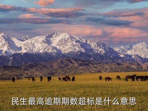 民生最高逾期期數(shù)超標(biāo)是什么意思