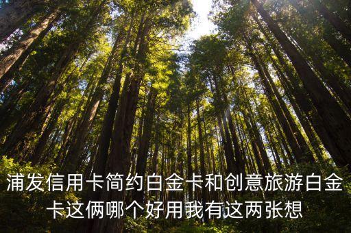 浦發(fā)信用卡簡(jiǎn)約白金卡和創(chuàng)意旅游白金卡這倆哪個(gè)好用我有這兩張想