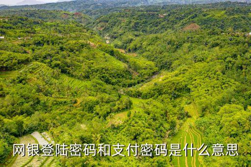 網(wǎng)銀登陸密碼和支付密碼是什么意思