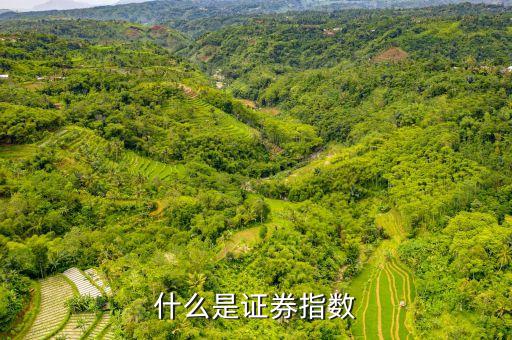 證券指數(shù)是什么意思，什么是證券指數(shù)