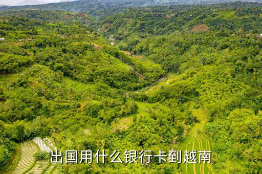 出國用什么銀行卡到越南