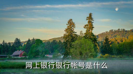 什么是網上銀行卡號，網上銀行卡號是什么