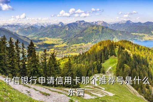 中信銀行申請信用卡那個(gè)推薦號(hào)是什么東西