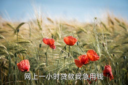 什么網(wǎng)貸凌晨也下款，今天早上申請的閃銀納米呼呼貸今天能下款嗎求解