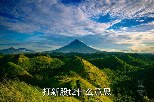 打新股t2什么意思