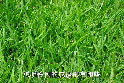 玉慧的詞語(yǔ)是什么意思，求這些的名字含義