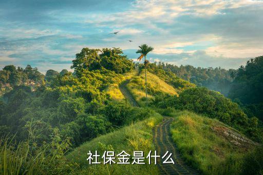 社保金是什么