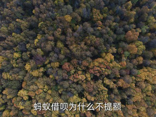 螞蟻借唄為什么不提額，我的借唄怎么不提額度
