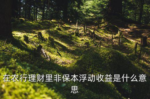 在農(nóng)行理財里非保本浮動收益是什么意思