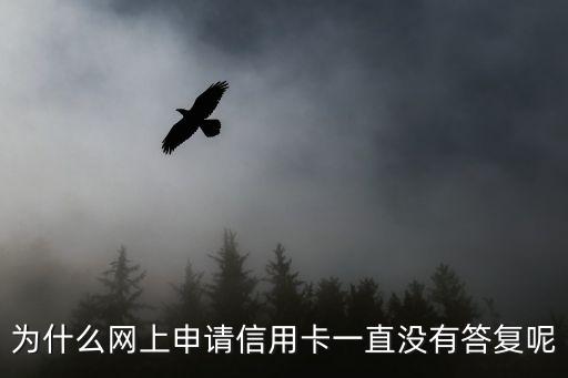 為什么網(wǎng)上申請(qǐng)信用卡一直沒有答復(fù)呢