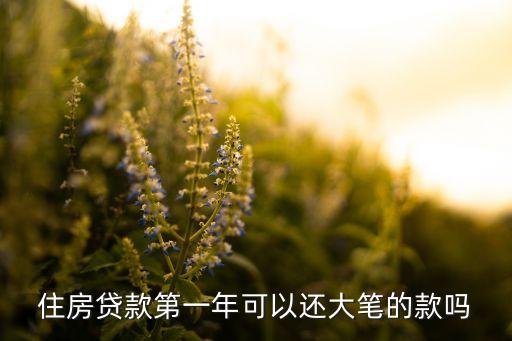 為什么年初還大額，住房貸款第一年可以還大筆的款嗎