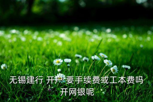 無錫辦銀行卡需要什么手續(xù)費嗎，無錫建行 開戶 要手續(xù)費或工本費嗎 開網(wǎng)銀呢