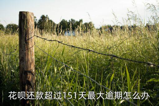 最大逾期是什么情況，貸款最長逾期是甚么意思
