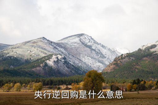 逆回購買入是什么意思，如何簡單易懂地解釋逆回購