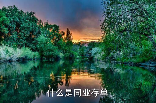 什么是同業(yè)存單