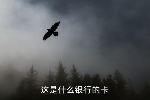 這是什么銀行的卡