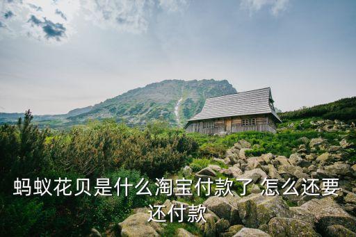 螞蟻花貝是什么淘寶付款了 怎么還要還付款