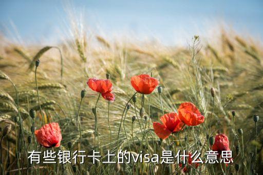 有些銀行卡上的visa是什么意思