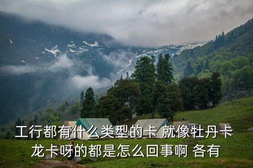 工行黃龍卡是什么意思，工行的這兩張卡區(qū)別是什么感覺黃色那張不常見