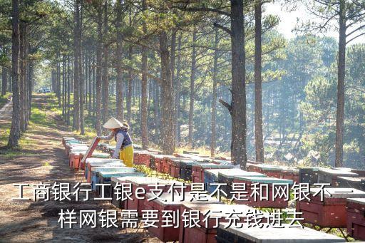 工銀e支付是什么，eyfcexe是什么