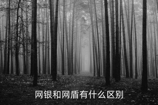 網(wǎng)銀和網(wǎng)盾有什么區(qū)別
