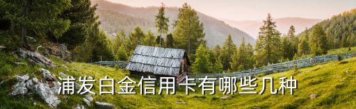 浦發(fā)白金卡是什么卡，浦發(fā)白金卡和金卡區(qū)別是什么
