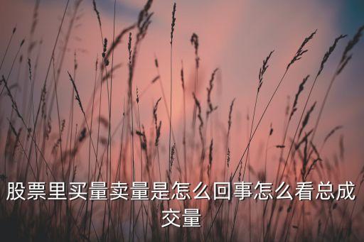 股票里買量賣量是怎么回事怎么看總成交量