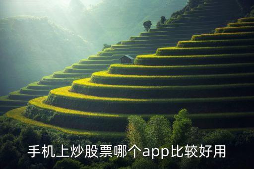 手機(jī)上炒股票哪個(gè)app比較好用
